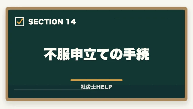 不服申立ての手続｜社労士の年金相談業務完全ガイド｜高齢化社会で需要急増【2026年版】の図解