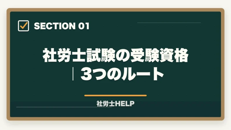 社労士試験の受験資格｜3つのルート｜社労士試験の受験資格・年齢制限・条件をわかりやすく解説の図解