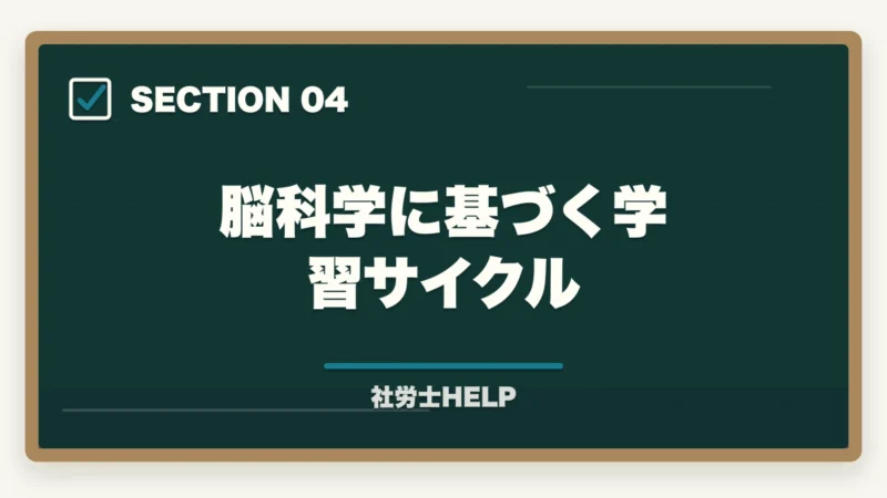脳科学に基づく学習サイクル｜社労士の勉強に集中できない！原因と今すぐ使える集中力アップ対策を解説の図解